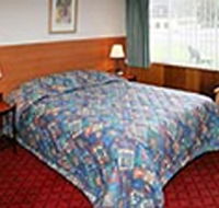 Mt Lyell Motor Inn - Accommodation Melbourne