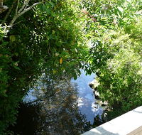 Mole Creek Hotel - Melbourne 4u