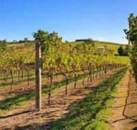DeVine Escape - Accommodation Melbourne