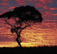 Kimba Caravan Park amp Motel - Accommodation Melbourne