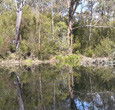 Sanctuary House Resort Motel - Healesville - Accommodation Melbourne 5
