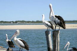 Tuncurry Sunset Motel - Accommodation Melbourne 3