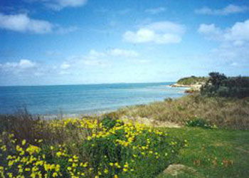 Southern Ocean Tourist Park - Accommodation Melbourne 1