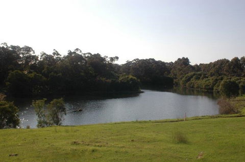 Harmony Forest - Melbourne 4u 1