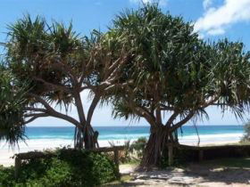 Pacific Surf Absolute Beachfront Apartments - Accommodation Melbourne 0