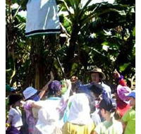 Beachfarm Farmstay - Accommodation Melbourne