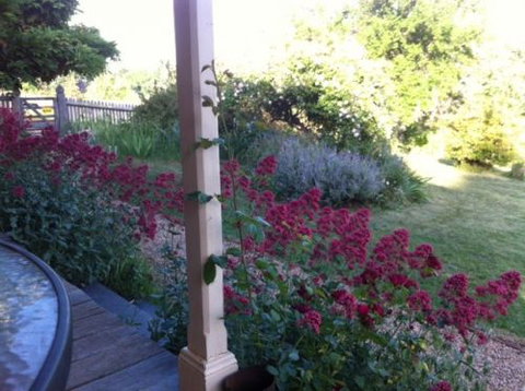 Cookes Cottage - Accommodation Melbourne 2