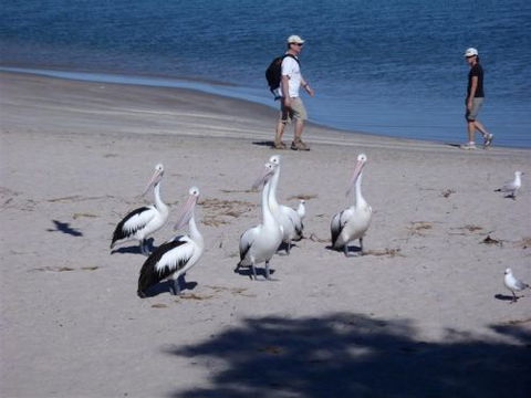 Kalbarri Accommodation Service - Accommodation Melbourne 5