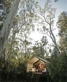 Paperbark Camp - Accommodation Melbourne 0