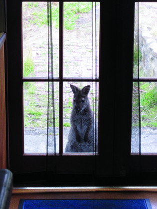 VARUNA - Accommodation Melbourne 4