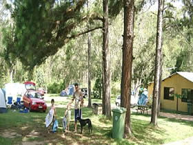 Glasshouse Mountains Holiday Village - Accommodation Melbourne 0