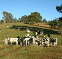 St Columba Cottage - Accommodation Melbourne