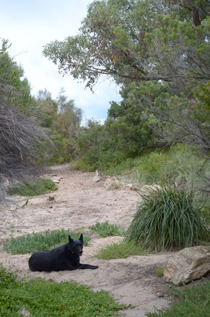 Dune Hideaway - Accommodation Melbourne 3