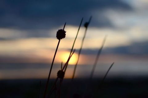 Dune Hideaway - Accommodation Melbourne 8