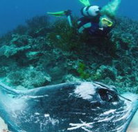 Heron Island Resort - Accommodation Melbourne