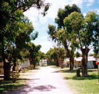 Bathers Paradise Caravan Park - Accommodation Melbourne