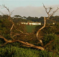 Black Rock Retreat - Accommodation Melbourne