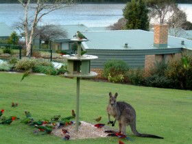 Gipsy Point Lakeside - Accommodation Melbourne 0