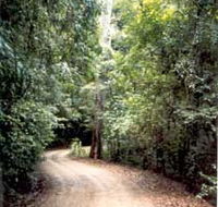 Mt Glorious Getaway Cottages And Conference Centre - Accommodation Melbourne