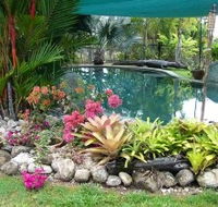 Daintree Wild Bed And Breakfast - Accommodation Melbourne