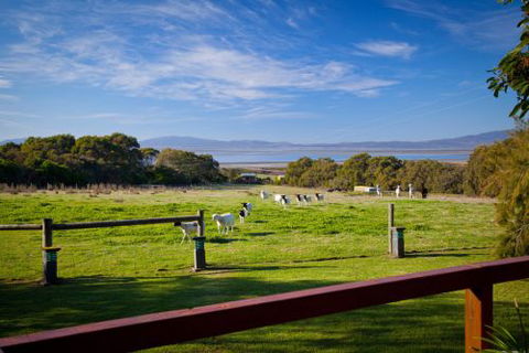 Coastal View Cabins - Accommodation Melbourne 9