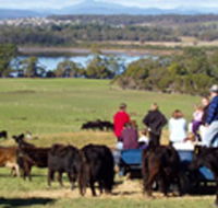 Bonny Brae - Accommodation Melbourne