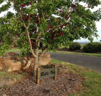 Belle Vue Studio - Melbourne 4u