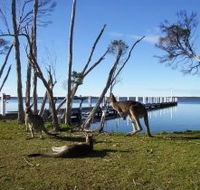 Waterfront Retreat At Wattle Point - Accommodation Melbourne