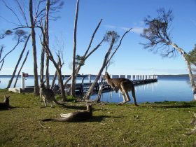 Waterfront Retreat At Wattle Point - Accommodation Melbourne 0
