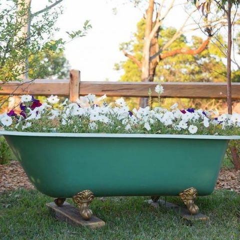 Milton Country Retreat - Accommodation Melbourne 4