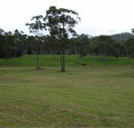 Mt White Lodge - Accommodation Melbourne