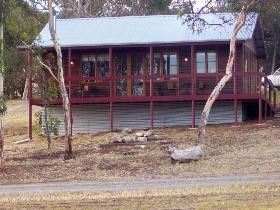 Ivybrook Vineyard Cottage - Accommodation Melbourne 0