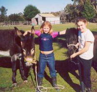 Grampians Sunrise Holiday Villas - Accommodation Melbourne