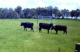 Cluan Homestead - Accommodation Melbourne 0