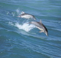 Seachange - Accommodation Melbourne