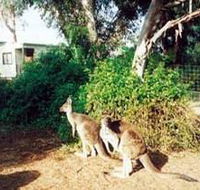 Avoca Dell Caravan Park - Accommodation Melbourne