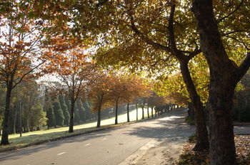 Fairmont Resort Blue Mountains MGallery By Sofitel - Accommodation Melbourne 30