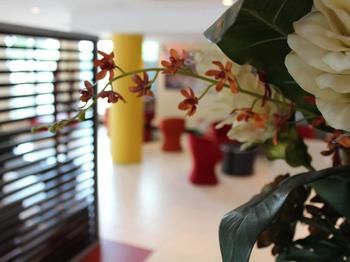 Ibis Newcastle - Accommodation Melbourne 24