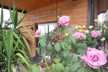 Balgownie Estate Vineyard & Spa - Accommodation Melbourne 2