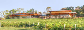 Balgownie Estate Vineyard & Spa - Accommodation Melbourne 5
