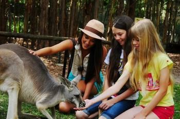 Pacific Horizons Resort - Accommodation Melbourne 23