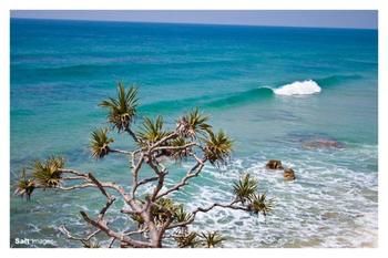 Pacific Horizons Resort - Accommodation Melbourne 24