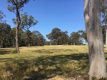 Worrowing At Jervis Bay - Accommodation Melbourne 81