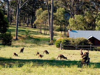 Worrowing At Jervis Bay - Accommodation Melbourne 101