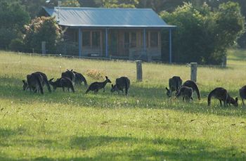 Worrowing At Jervis Bay - Accommodation Melbourne 31