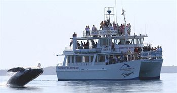 Worrowing At Jervis Bay - Accommodation Melbourne 32