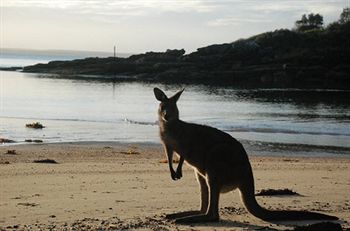 Worrowing At Jervis Bay - Accommodation Melbourne 35