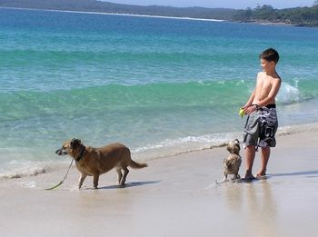 Paradise Bungalow - Accommodation Melbourne 19