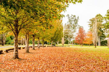 Retreat At Wisemans - Accommodation Melbourne 12