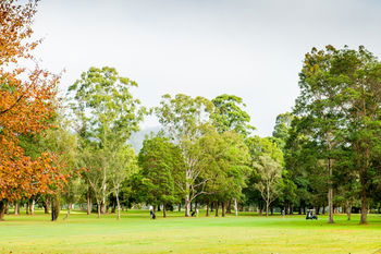 Retreat At Wisemans - Accommodation Melbourne 17